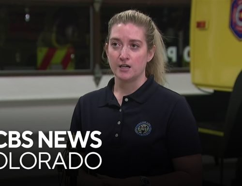 Colorado Parks and Wildlife hold news conference after apparent fatal mountain lion attack