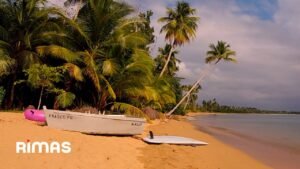 Bad Bunny – Me Fui de Vacaciones (360° Visualizer) | Un Verano Sin Ti
