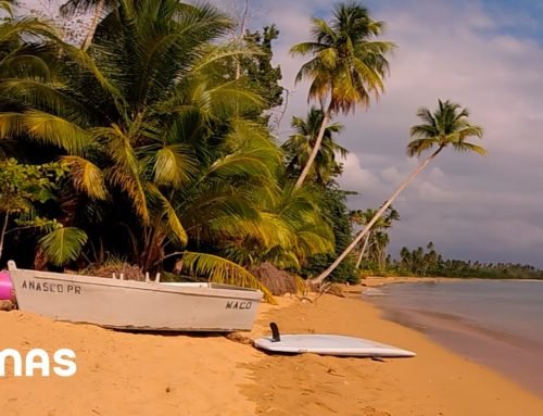 Bad Bunny – Me Fui de Vacaciones (360° Visualizer) | Un Verano Sin Ti
