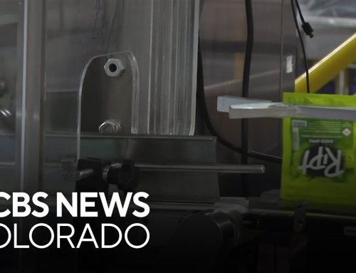 Marijuana may be back on the ballot in Colorado this year