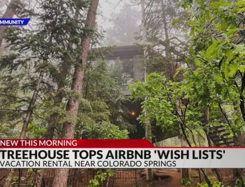 Octagon-shaped treehouse near Colorado Springs tops Airbnb wish lists