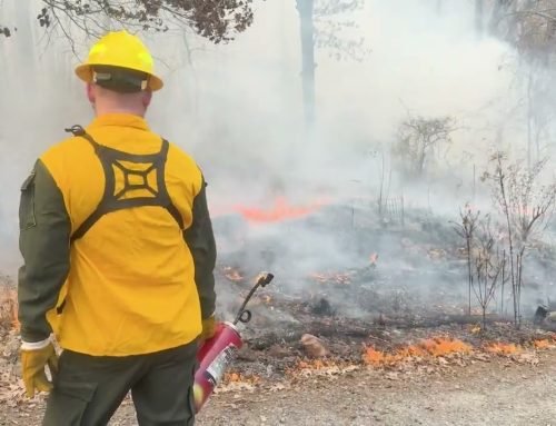 Prescribed burns on Pinnacle Mountain closes popular hiking spot for …