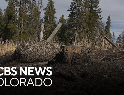 Colorado’s Summit County plans for evacuations, sharing of resources ahead of expected wildfires