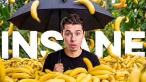 Nano Banana 2 Just Changed How We Create Images with AI