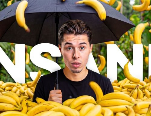 Nano Banana 2 Just Changed How We Create Images with AI