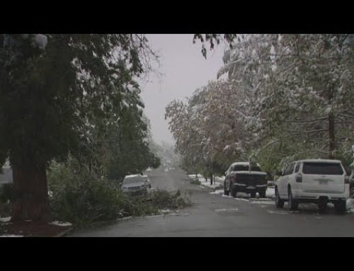 Colorado sees biggest May snowstorm in decades