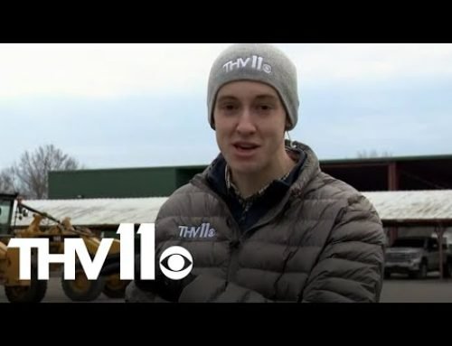 Winter storm set to hit Arkansas | The latest info