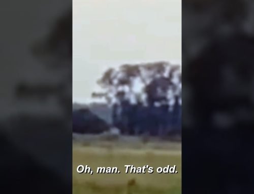 Shapeshifting Creature CAUGHT On Camera | Paranormal Caught on Camera | Travel Channel