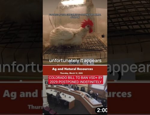 WATCH: Colorado Bill to Ban VSD+ SB26-123 Postponed Indefinitely, Senator Lisa Cutter Speaks