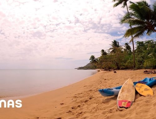 Bad Bunny (ft. Bomba Estéreo) – Ojitos Lindos (360° Visualizer) | Un Verano Sin Ti
