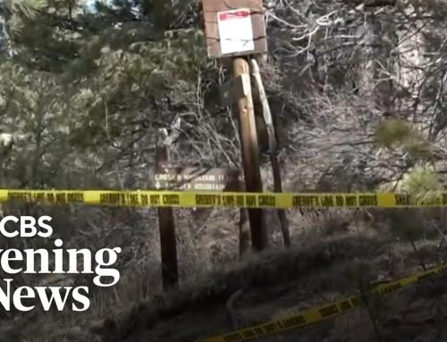 Woman killed in suspected mountain lion attack in Colorado