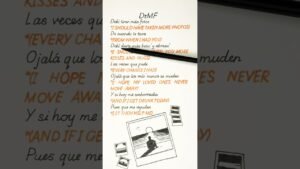 📸 Bad Bunny – DtMF (Lyrics & Subtitles) 🌅✨
