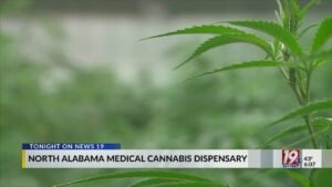 North Alabama Cannabis Medical Dispensary Approved | Dec. 11, 2025 | News 19 at 6 p.m.