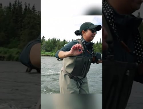Grizzly bear charges Kraken mascot during video shoot in Alaska