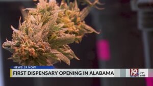 First Dispensary Opening In Alabama | April 10, 2026 | News 19 at 6 p.m.
