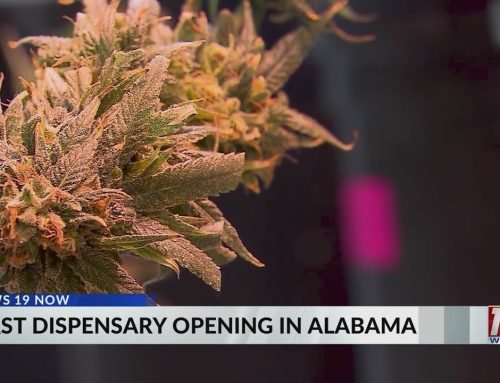 First Dispensary Opening In Alabama | April 10, 2026 | News 19 at 6 p.m.