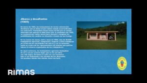 BAD BUNNY – EL CLúB (Visualizer) | DeBÍ TiRAR MáS FOToS