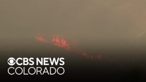 Lee Fire now fifth largest wildfire in Colorado history