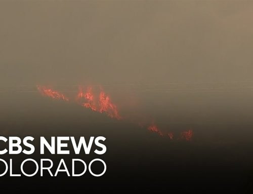 Lee Fire now fifth largest wildfire in Colorado history