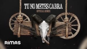 BAD BUNNY x DADDY YANKEE x ANUEL AA x COSCULLUELA – TÚ NO METES CABRA REMIX (Audio Oficial)