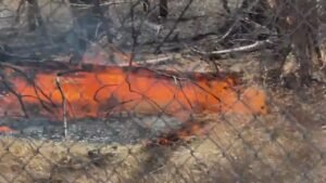 FOX31 crew spots flames, calls 911 after wildfire mop up in Fort Collins