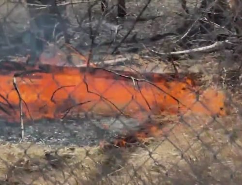 FOX31 crew spots flames, calls 911 after wildfire mop up in Fort Collins