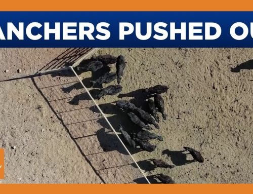 Arizona family ranchers forced out while corporations benefit from lo…
