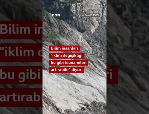Alaska’daki mega-tsunami bize ne anlatıyor?