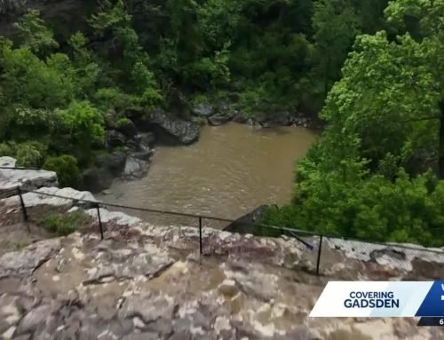 Gadsden man falls into Noccalula Falls gorge as he runs from police