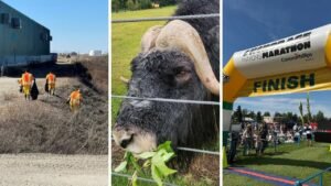 AROUND ALASKA: Nome Cleanup, LARS Opens, and Volunteers Needed!