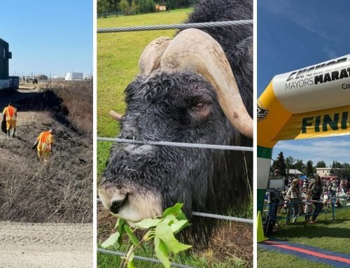 AROUND ALASKA: Nome Cleanup, LARS Opens, and Volunteers Needed!
