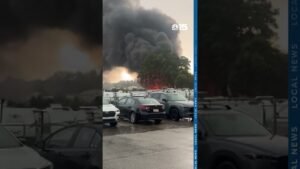 Downed tree, highway crash, and RV fire keep Mobile first responders busy – NBC 15