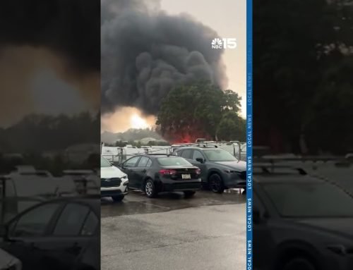 Downed tree, highway crash, and RV fire keep Mobile first responders busy – NBC 15
