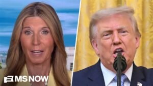 ‘EVERYONE in America needs to see this’: Nicolle on Trump advisor’s STUNNING election confession