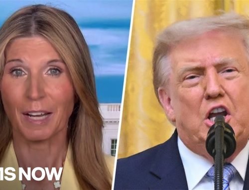 ‘EVERYONE in America needs to see this’: Nicolle on Trump advisor’s STUNNING election confession