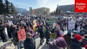Protesters Rally In Anchorage, Alaska As A Part Of Nationwide ‘No Kings’ Protests