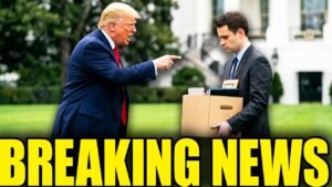 Trump Fire Everyone As Term Collapses