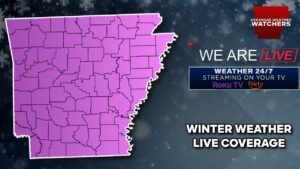 LIVE – MAJOR Winter Storm LIVE Update #ARwx #snow   #fypviralシ