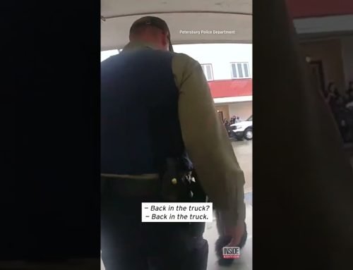 Alaska Police Capture Bear Cub in Grocery Store #shorts
