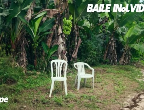 Bad Bunny – BAILE INoLVIDABLE (iGrape)