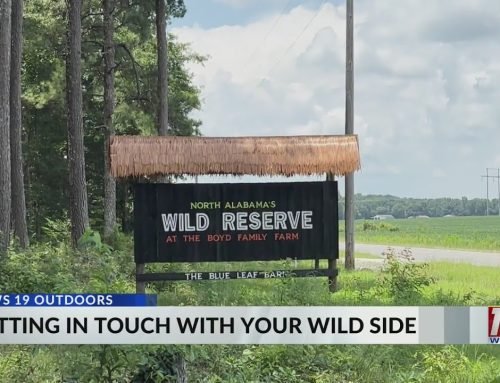 News 19 Outdoors: North Alabama’s Wild Reserve | July 30, 2026 | News 19 at 4 p.m.