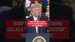 Trump in response to being called a “pedophile protector”: “He’s a communist.”