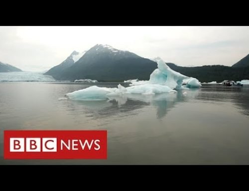 Alaska’s melting glaciers force people from their homes as sea rises – BBC News