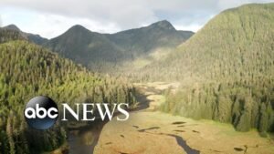 Tug of war over Alaska’s Tongass National Forest, called the ‘lungs of America’