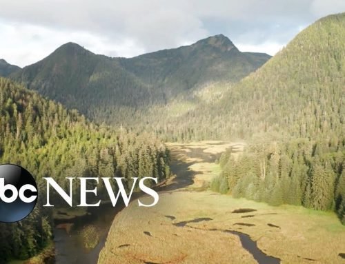 Tug of war over Alaska’s Tongass National Forest, called the ‘lungs of America’