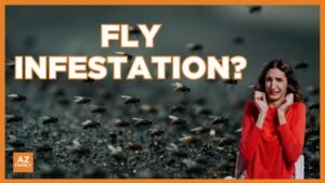 State Attorney General’s Office gets involved as fly swarm plagues so…