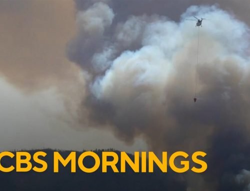 Massive wildfire in Utah expected to become most destructive in histo…