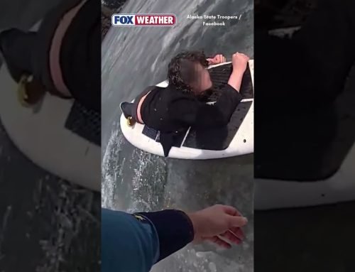 Unusual Surfboard Rescue Caught On Camera In Alaska