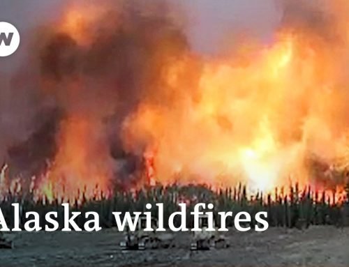 Record-breaking wildfires in Alaska burn more than 3 million acres | DW News