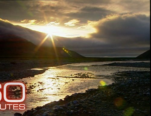 60 Minutes visits Alaska’s Arctic National Wildlife Refuge (2001)